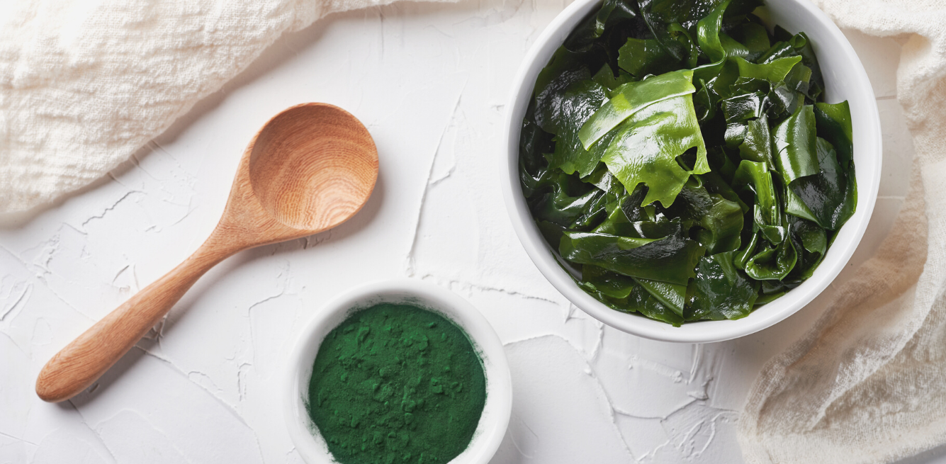 european algae market