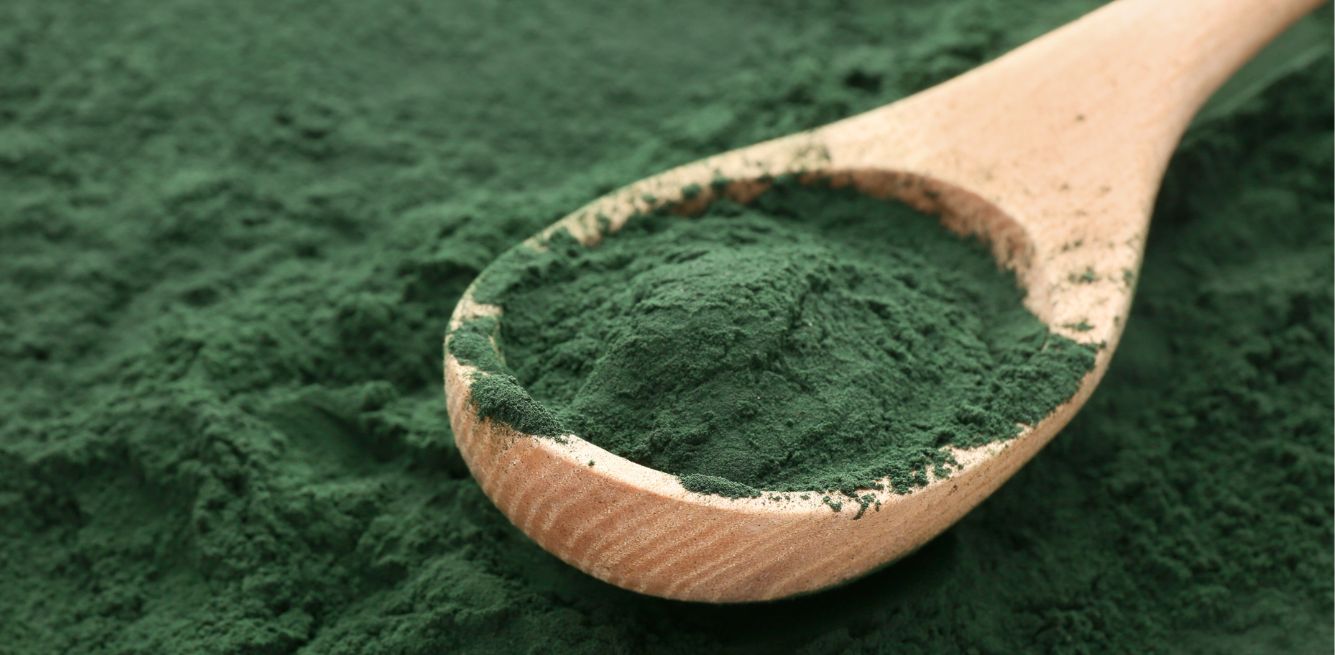 algae market