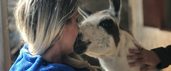 SALVATA MAMMA CAGNA AFFAMATA E I SUOI CUCCIOLI - Animali in casa