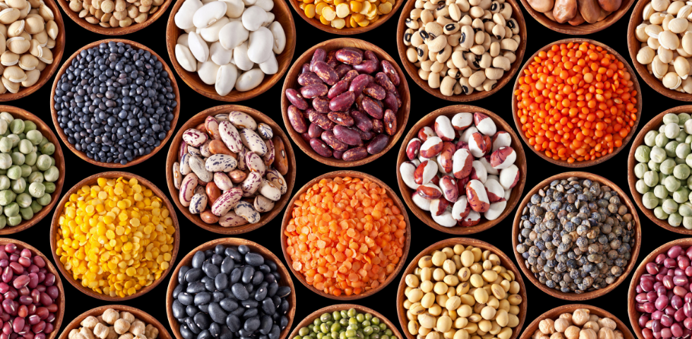 Cosa mangiano i vegani