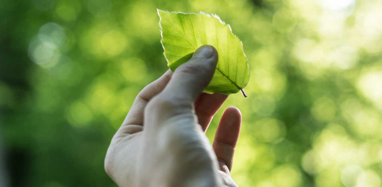 diventare vegani pro e contro