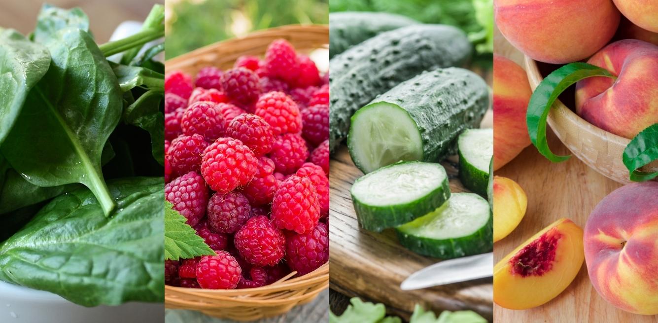 Frutta verdura giugno