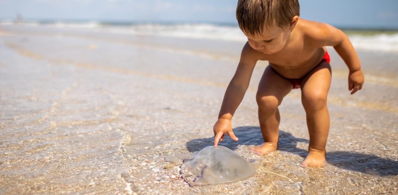 animali bambini spiaggia