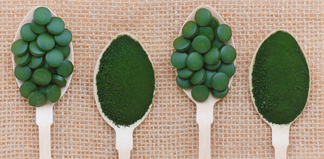 Alga spirulina