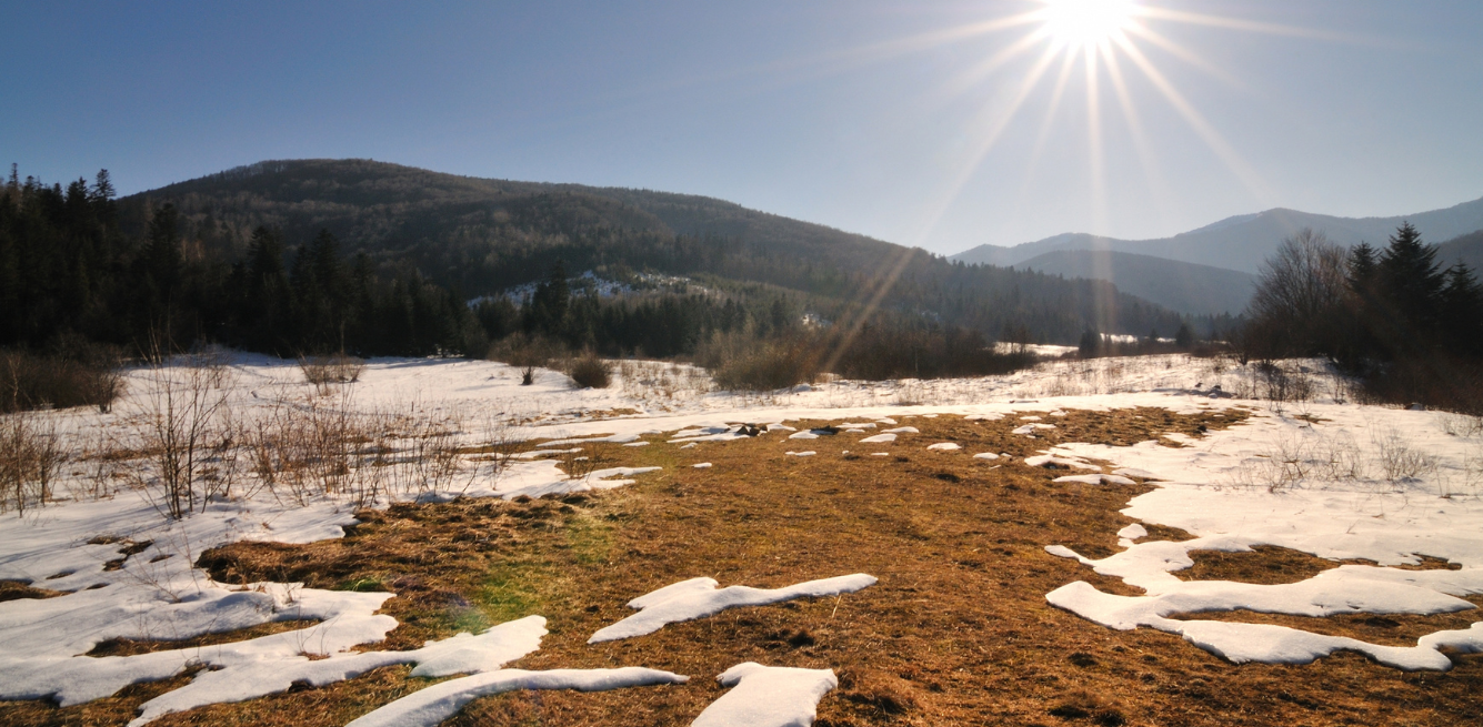 onu crisi climatica