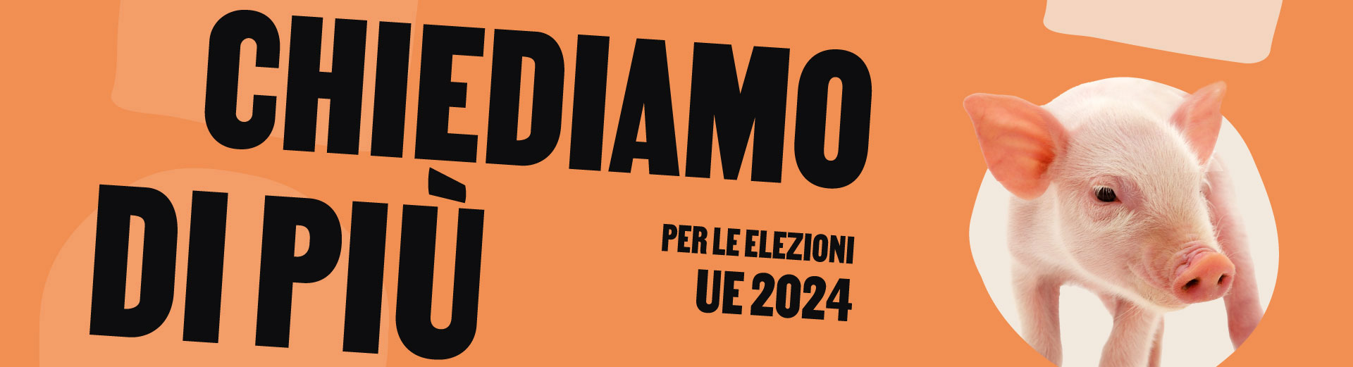 voteforanimals