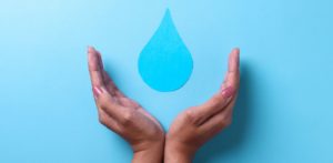 water footprint meat_world water day