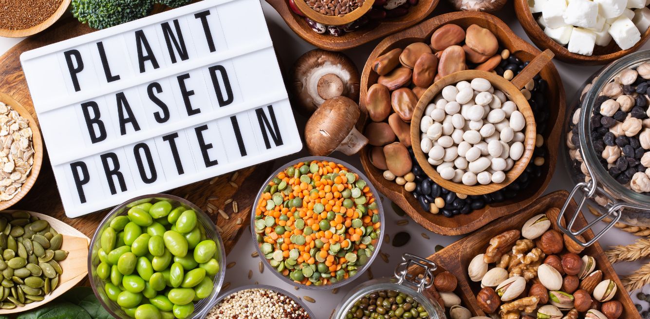 plant-based protein