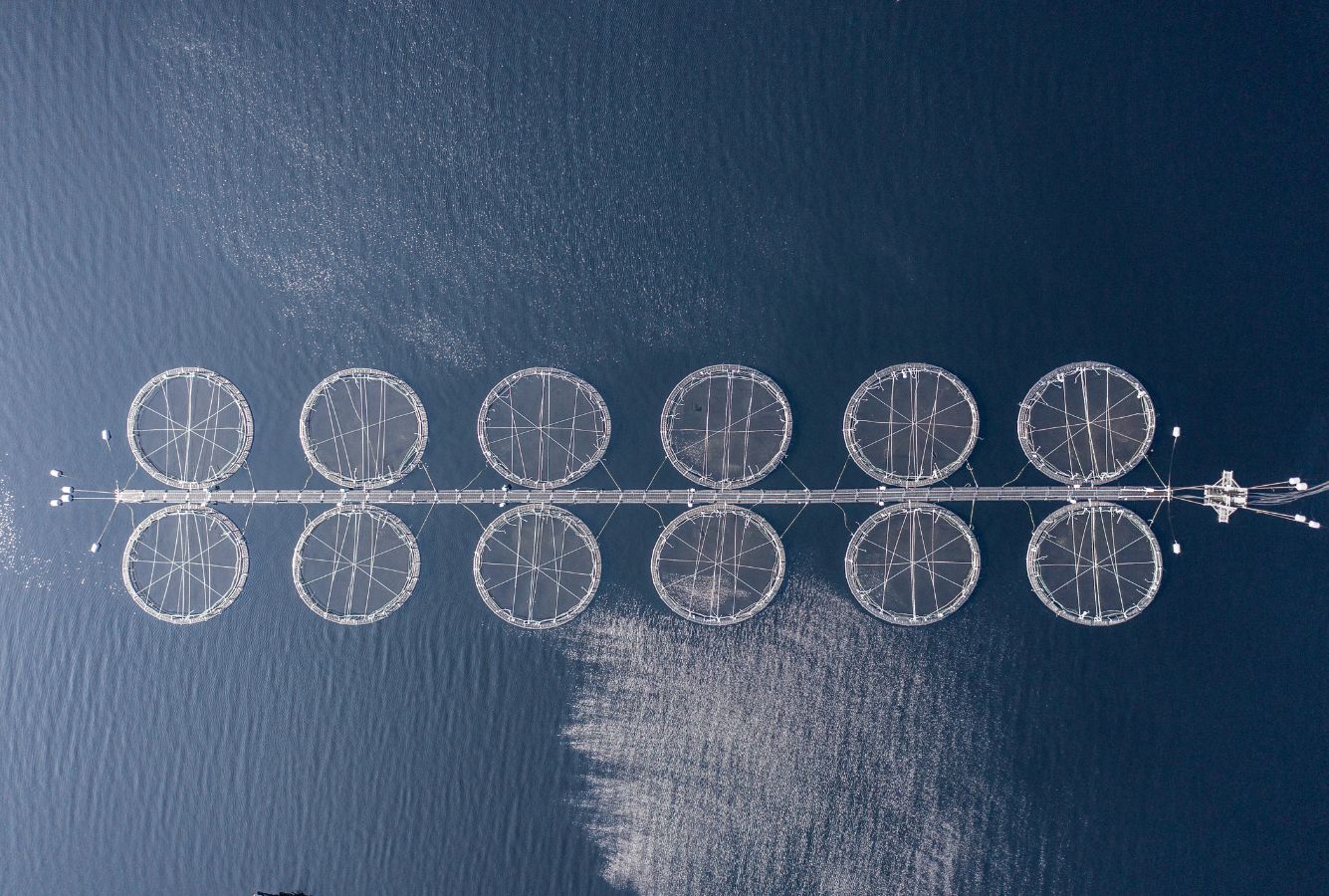 aquaculture facilities