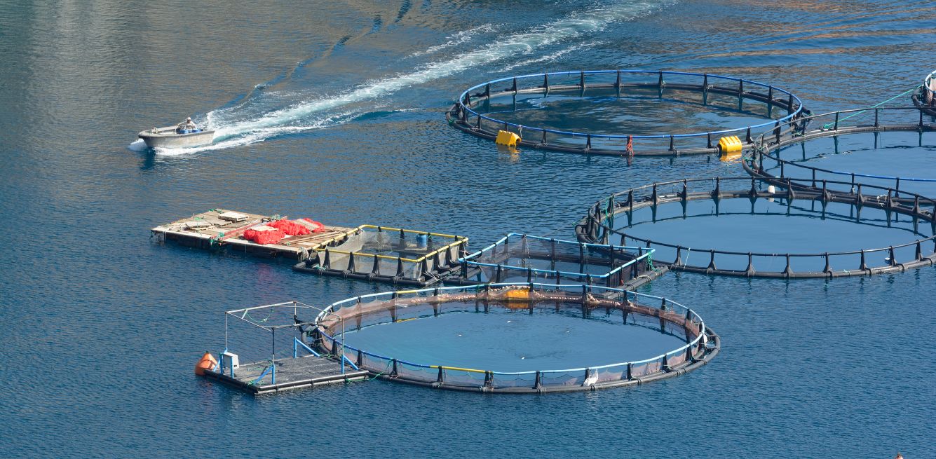 aquaculture