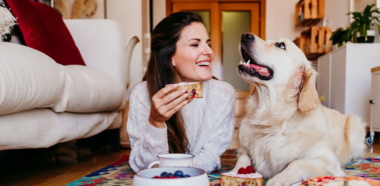 cibo vegano per cani