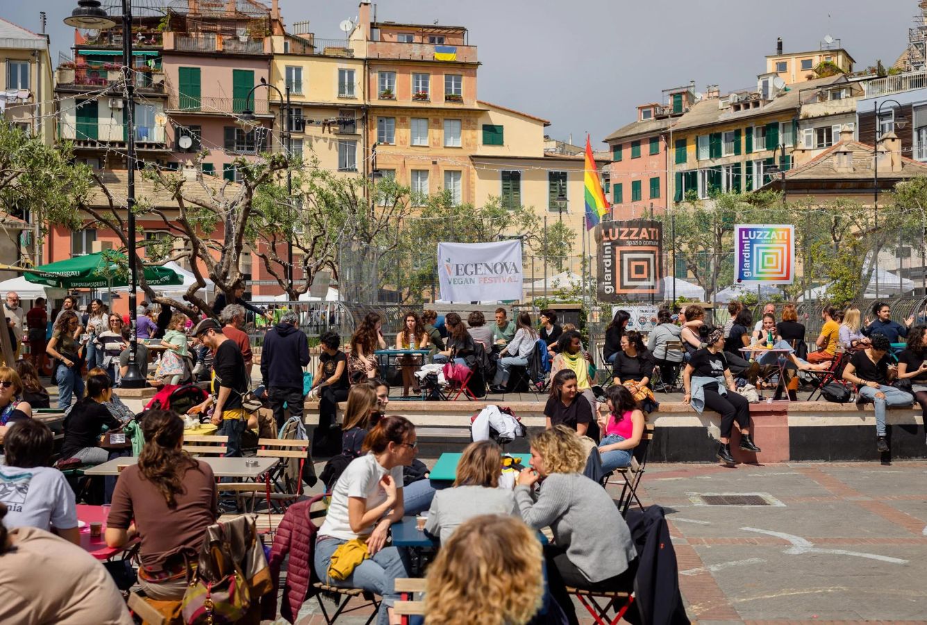 vegenova prima edizione 