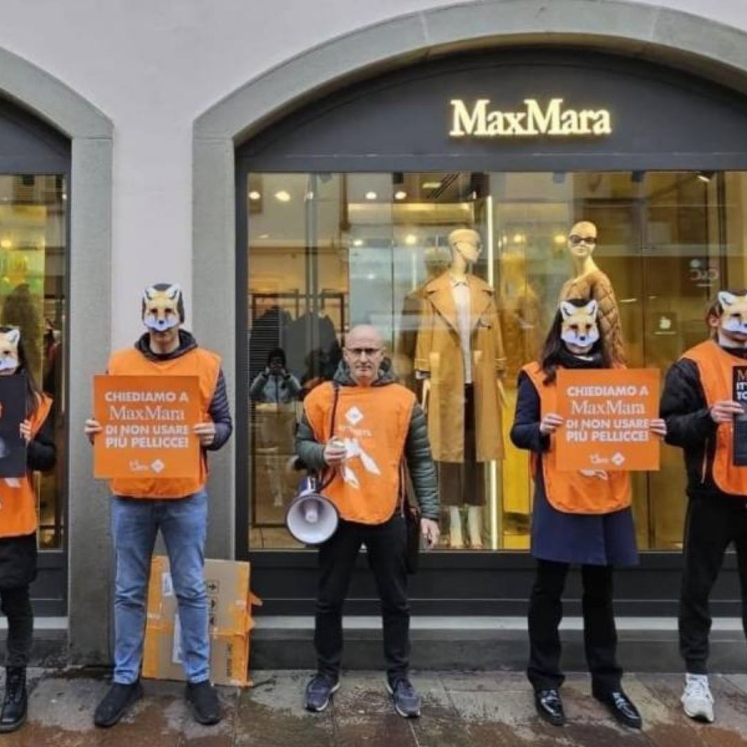 Campagna fur-free Max Mara