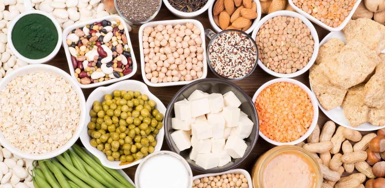 plant proteins