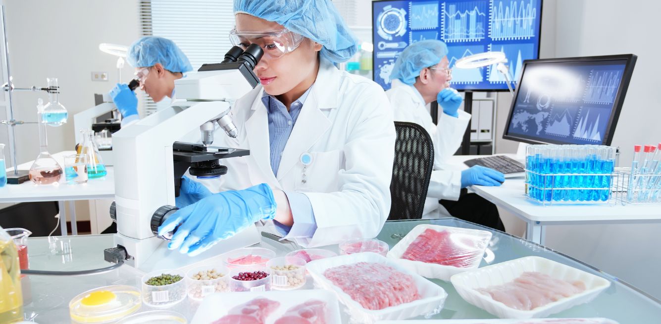 alternative protein research