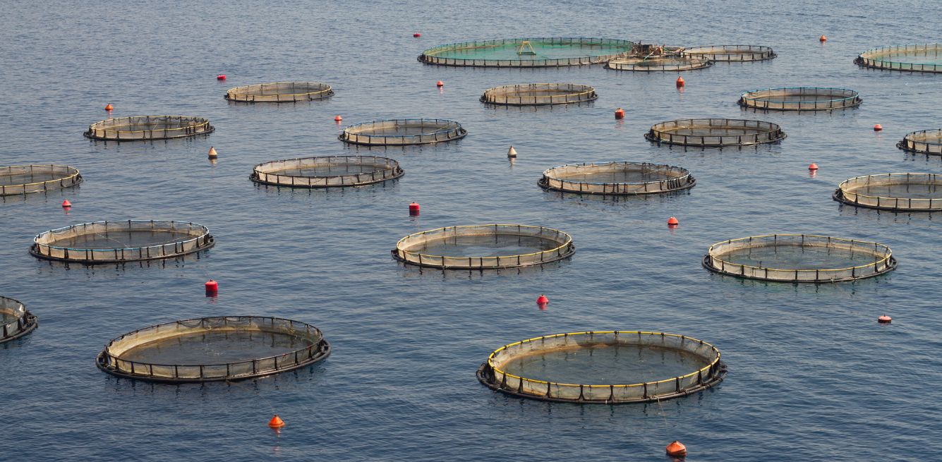fishing industry