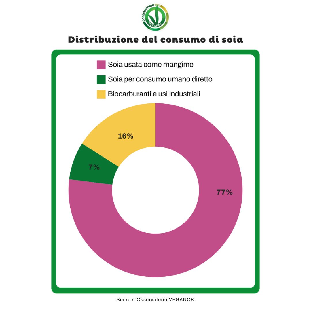 soia e deforestazione