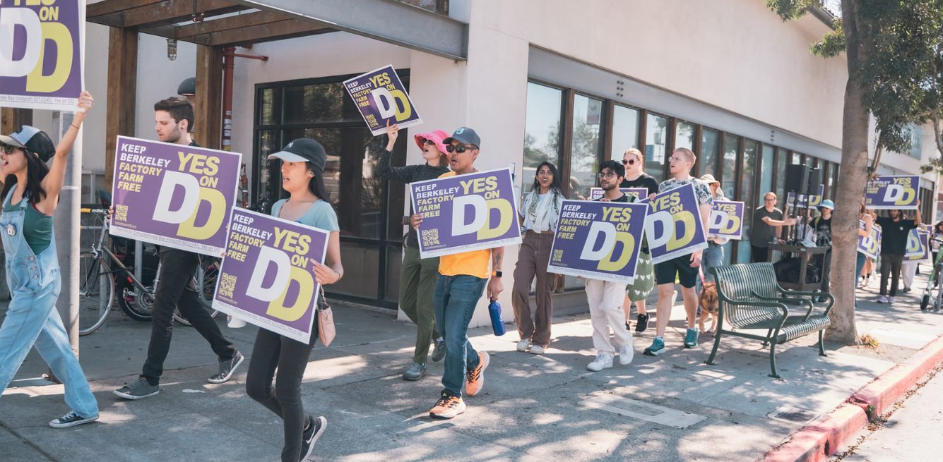 berkeley measure dd