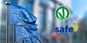quesos veganos veganok safe bruselas