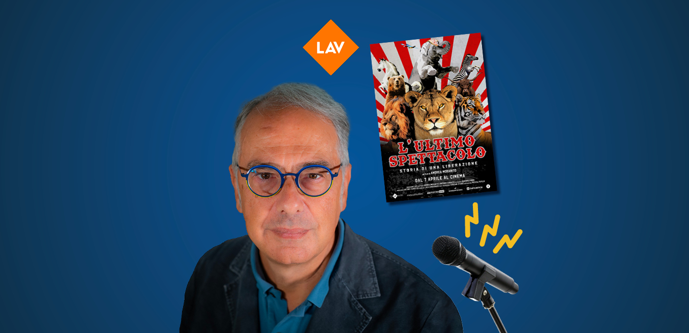 l'ultimo spettacolo film lav