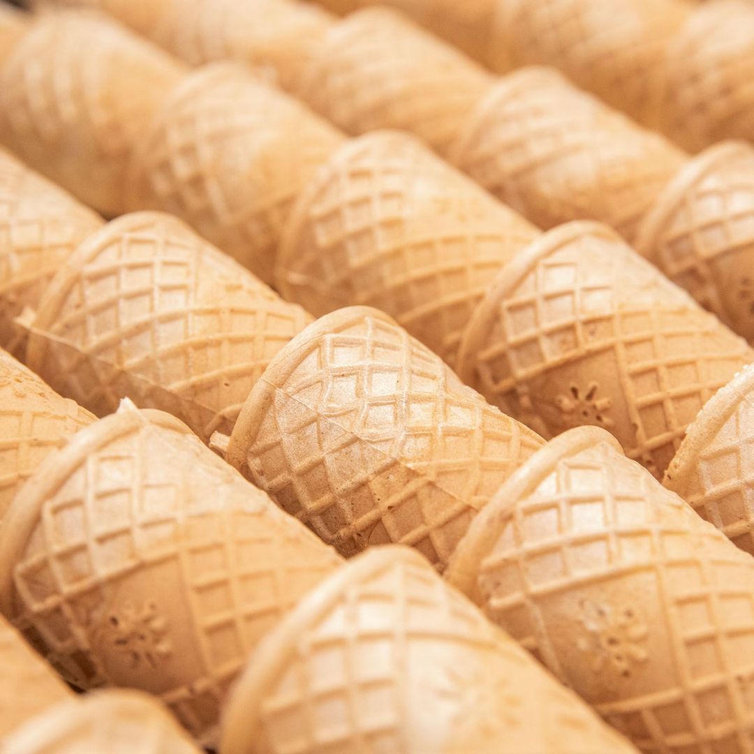 cialde vegan Ostificio Prealpino