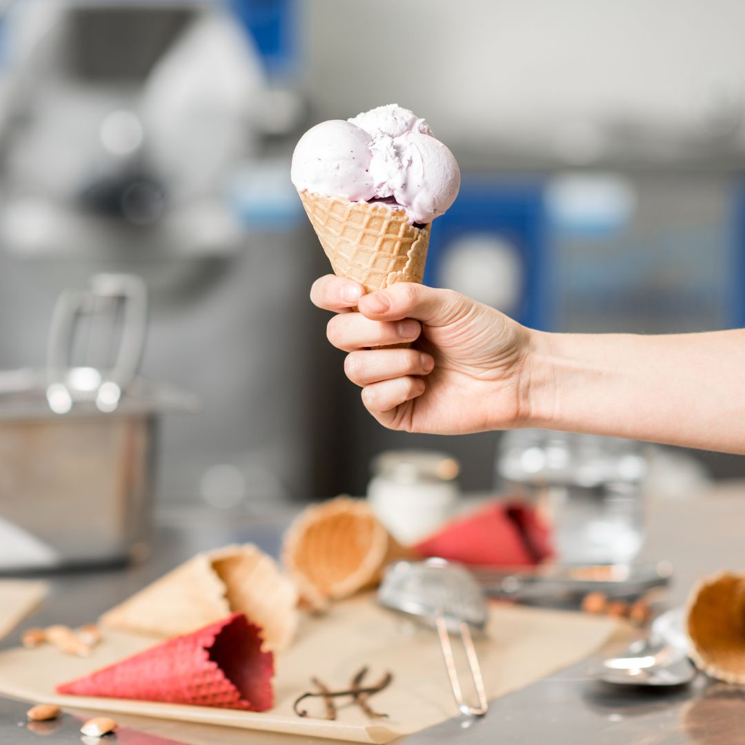 VEGANOK EXPO gelato vegetale