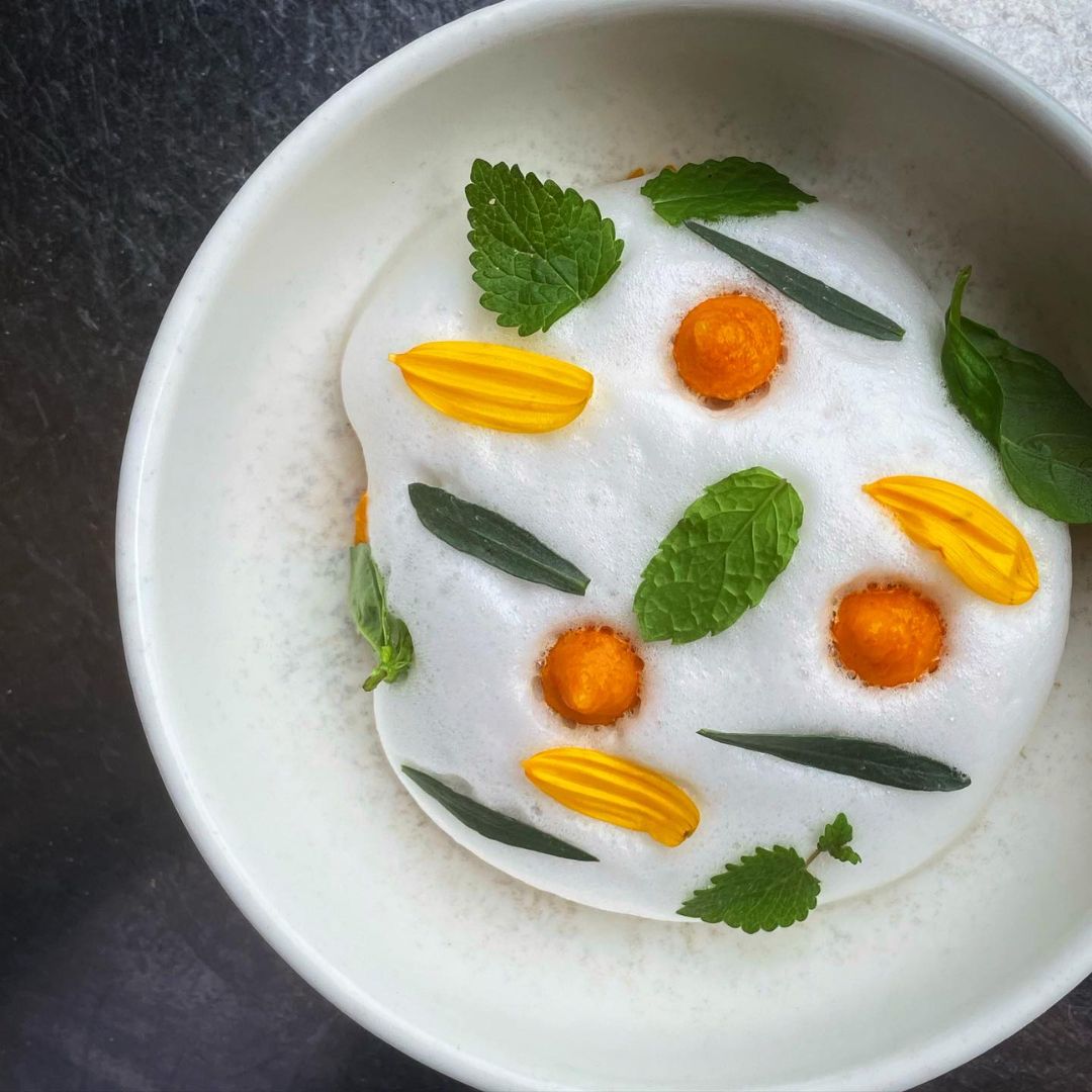 Osteria del Vicario cucina vegetale
