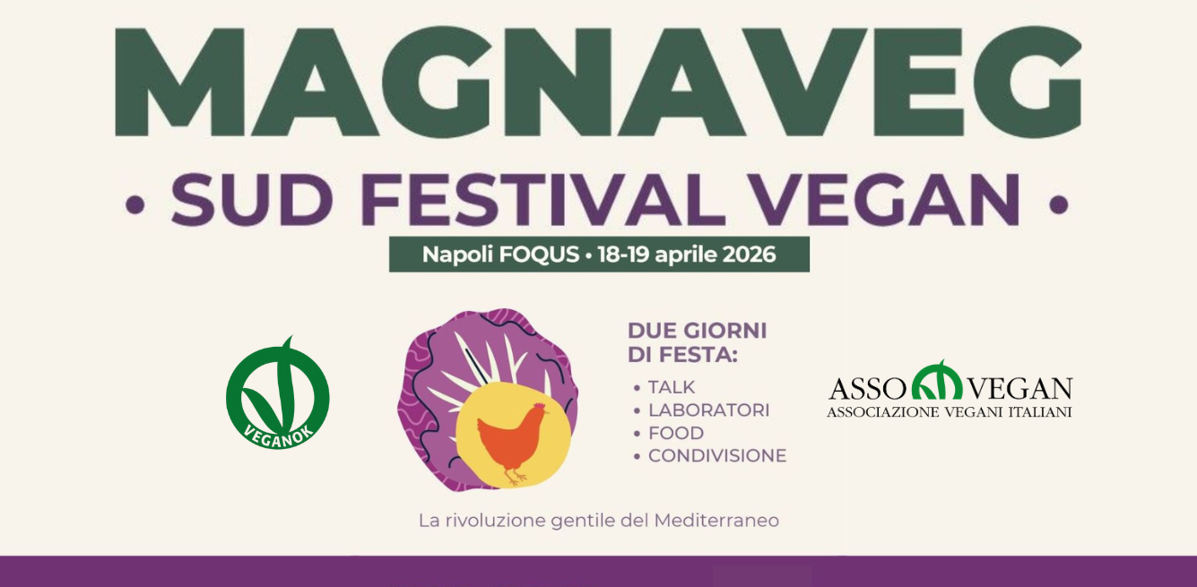 Magnaveg